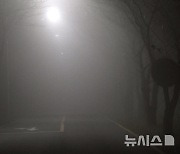 '짙은 안개' 광주·전남 출근길 조심…낮 최고 23도