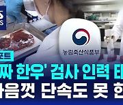 [D리포트] '가짜 한우' 검사 인력 태부족…"마음껏 단속도 못 한다"