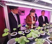 실내 수직농장도 산업단지 입주한다…"수직농장 활성화 기대"