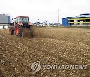 농진청 "늦더위로 늦어진 밀·보리…파종량·밑거름 늘려야"