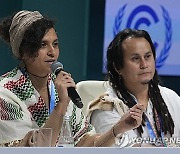 COP29 Climate Summit