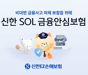 신한EZ손보, 2024 대한민국 정부 박람회서 SOL 금융안심보험 홍보