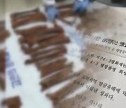 ‘75년 만의 귀향’…옛 광주형무소 유해 ‘4·3희생자’로 확인