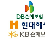 [단독] 새 가이드 적용땐 DB손보·현대해상·KB손보 큰 타격