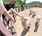 9월 강원 관광 외국인, 전년 대비 27% 증가