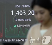 '트럼프 윈터' 코스피 2440·코스닥 700선 붕괴…종목 21% '1년 최저가'