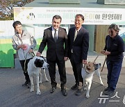 서울대공원으로 거처 옮긴 투르크메니스탄 국견 알라바이