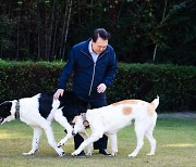 대통령실, 서울대공원 보낸 '투르크 국견'에 "훌륭하게 적응 중"