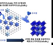 유독성 물질 `납` 없이 청색 발광 소재 만든다…우수한 색·발광효율 동시 지녀