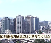 내수 기업 매출 증가율 코로나 이후 첫 ‘마이너스’