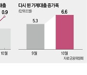 농협·새마을금고 가계대출 폭증에 칼 뺀다