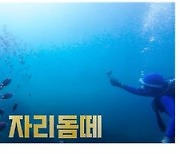 해수부, '2024 섬 여행 영상공모전' 수상작 9개 선정