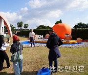 ‘감귤로 완성하는 국제평화도시’…제주국제감귤박람회 개막