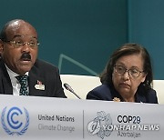 COP29 Climate Summit