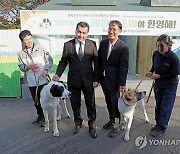 서울대공원으로 거처 옮긴 투르크 국견 알라바이