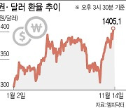 외환당국 구두개입했지만…'환율 1400원대' 요지부동