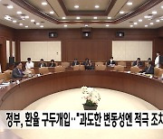 정부, 환율 구두개입‥"과도한 변동성엔 적극 조치"