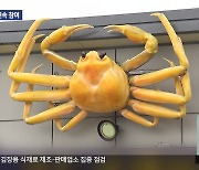 동해 대게축제 특정업체 밀어주기 논란