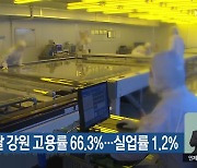 지난달 강원 고용률 66.3%…실업률 1.2%