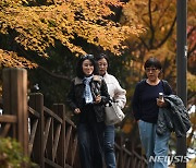 '수능 끝!' 광주·전남 뮤직 페스티벌·야장으로[주말엔 여기]