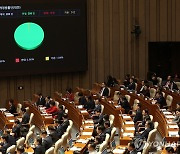 '김호중 방지법' 국회 통과