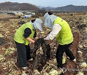 농협경제지주, 수확철 일손부족 농가 찾아 1박2일 농촌 일손돕기 실시