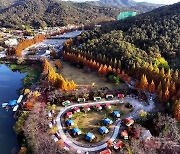 [오늘의 날씨]울산(15일, 금)…오전 가끔 비, 낮 기온 포근