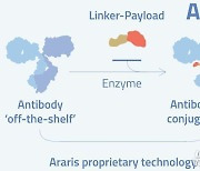 삼성 투자 '아라리스', 항체 재설계 없이 약물 결합 ADC 기술 제시