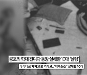 온몸에 음란 낙서?…살인 가해자로 몰린 소년의 비극 ('궁금한 이야기 Y')