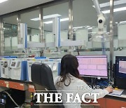 경기도보건환경연구원, 김장재료 안전성 검사 결과 99.6% 적합