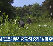 전남 ‘쯔쯔가무시증’ 환자 증가 “감염 주의”