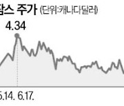 비트코인, 연일 고공행진…같이 뛸 '형제株'도 주목