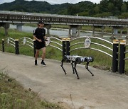 KAIST 사족보행 로봇 '라이보2', 마라톤 풀코스 도전한다