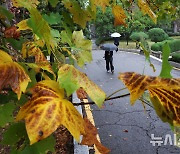 전북 오전 산발적 비…한낮 18~21도 흐림