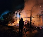 부산 강서구 축산 농가 화재…돼지 28마리 폐사