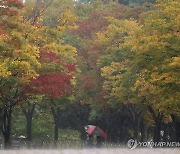 [날씨] 포근한 가을···전국 곳곳 비