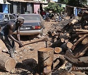 Mali Deforestation