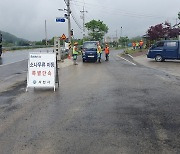 사천시, 소나무류 무단 이동 특별단속…재선충병 확산 방지