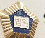 ‘영적 치료’ 하겠다며 모친 때려 숨지게 한 50대 징역형