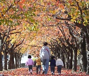 [오늘 날씨] 전국 흐리고 낮 최고 23도…일요일 기온 '뚝'