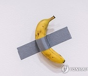 Banana Art Auction