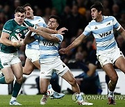 Ireland Argentina Rugby.