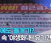 전주에도 ‘들개’가?.. 도심 속 ‘야생화’ 된 유기견