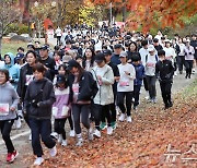 가을 만끽하는 '2024 손기정 평화마라톤'