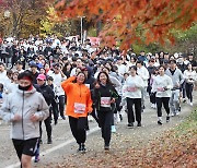 가을 속으로 풍덩 '2024 손기정 평화마라톤'