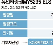 대형주마저 초토화… 시한폭탄 된 ELS[위기의 한국 금융시장]