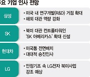 국내 4대그룹 ‘미국통’ 전진배치… 트럼프 코드 맞춘다[트럼프 2.0 시대]