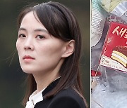 ‘초코파이’ 보고 열받은 김여정… “혐오스러운 잡종 개OO들, 대가 치를 것”