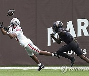 APTOPIX Ohio St Northwestern Football