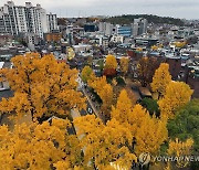 단풍으로 물든 성균관대